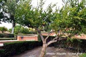 10 ALMERIA ALCAZABA 12 09 2018 (68)